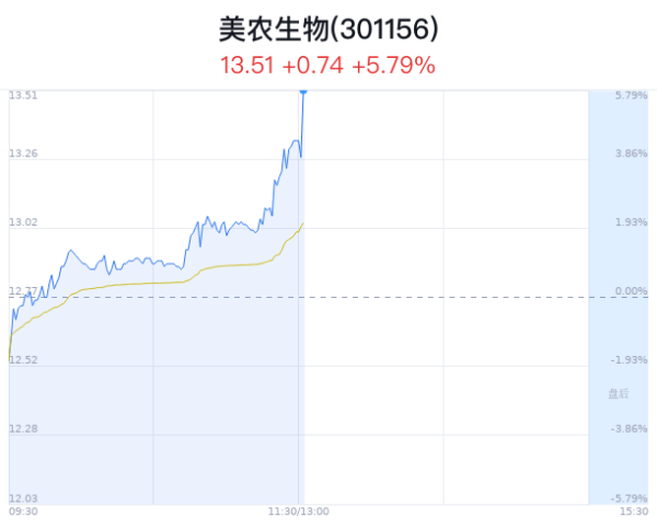 股票配资合作 美农生物大涨5.79% 主力净流入增加