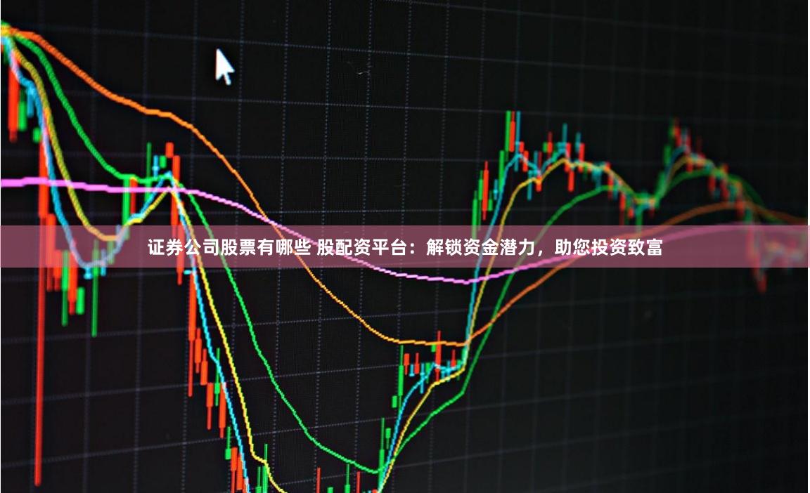 证券公司股票有哪些 股配资平台：解锁资金潜力，助您投资致富
