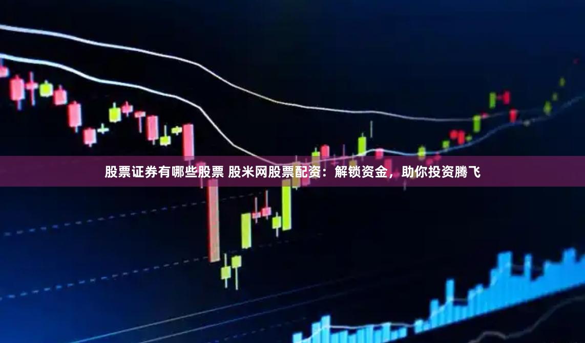 股票证券有哪些股票 股米网股票配资：解锁资金，助你投资腾飞